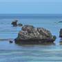 Garden Island - Point Atwick - Cray Bay