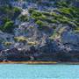 Garden Island - Calista Point - from water