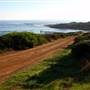 Gracetown