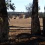 Boddington Shire