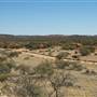Mount Magnet landscapes