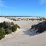 Lancelin