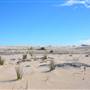 Lancelin