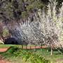 Millbrook Winery