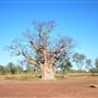 Derby - road from Broome to Derby