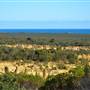 Pinnacles - Nambung National Park