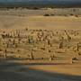 Pinnacles - Nambung National Park