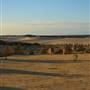 Pinnacles - Nambung National Park