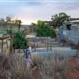 Gwalia Ghost Town