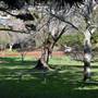 Albany - Strawberry Hill Farm