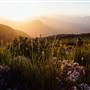Stirling Range National Park