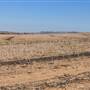 Chapman Valley