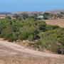 Chapman Valley