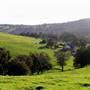 Nannup - Xmas Brook Farm