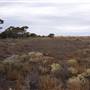 Goldfields Golf Club