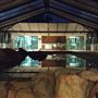 Mingah Mia Family Farm