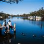 Murray River and Peel-Harvey Estuary