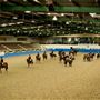 State Equestrian Centre