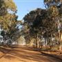 Darkan - Country Roads