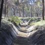 Hillman Reserve