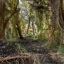Karrinyup Wetlands