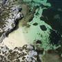 Wadjemup Rottnest Island - Overview