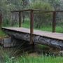 Nangip Creek