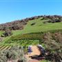The Orchard Perth Pty Ltd