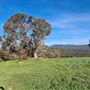 Craigendarroch, Porongurup