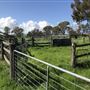 Buckland Estate