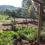 Hope Farm