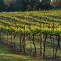 Dwellingup