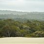 Yeagarup Sand Dunes