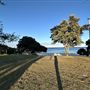 Cottesloe Beach