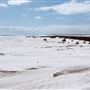 Wedge Island