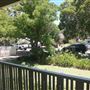 52 Irwin Street