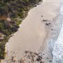 Eagle Bay