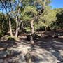 Conto Beach and Campground