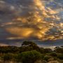 Goldfields - Esperance Region