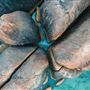 Denmark - Elephant Rocks, William Bay National Park