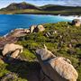 Thistle Cove