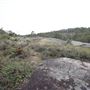 John Forrest National Park