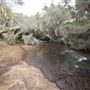 John Forrest National Park
