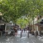 Hay Street Mall
