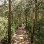 Pemberton - Warren National Park