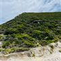 Conspicuous Cliff