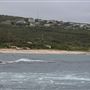 Gracetown