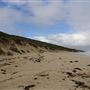 Gracetown