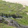 Gracetown