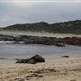 Surfers Point